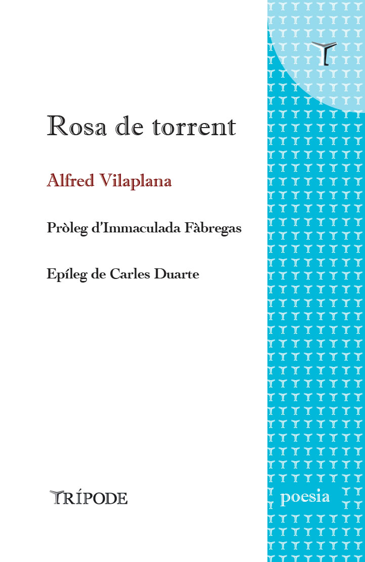 Rosa de torrent