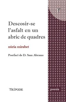 Descosir-se l'asfalt en un abric de quadres