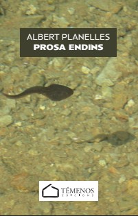 Prosa endins